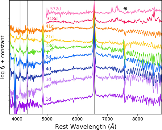 Figure 4. Refer to the following caption and surrounding text.