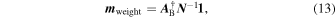 Equation (13)