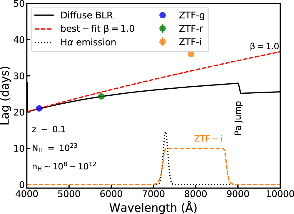 Ztf Active Galactic Nuclei Continuum Reverberation Mapping Based on Zwicky ...