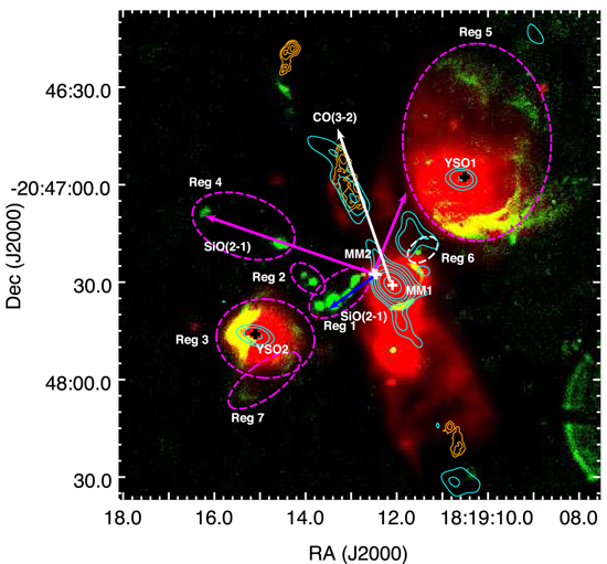 Figure 2. Refer to the following caption and surrounding text.