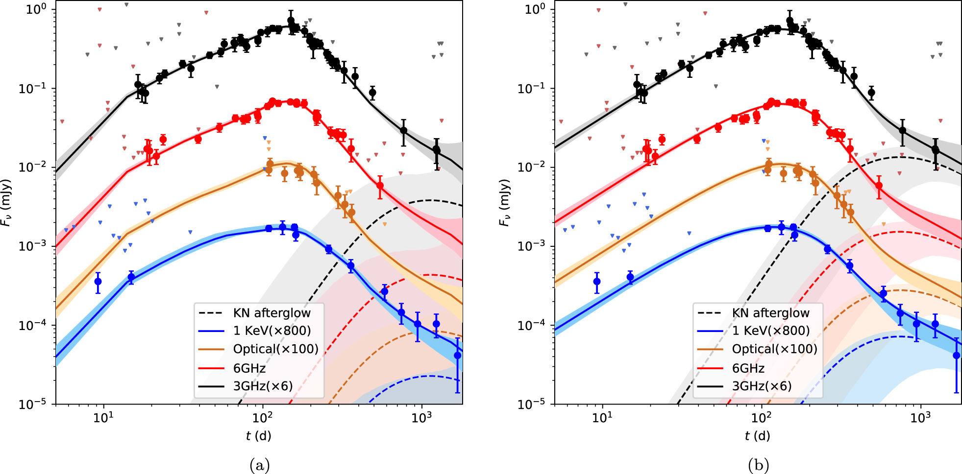 The Late Afterglow of GW170817/GRB 170817A: A Large Viewing Angle and ...
