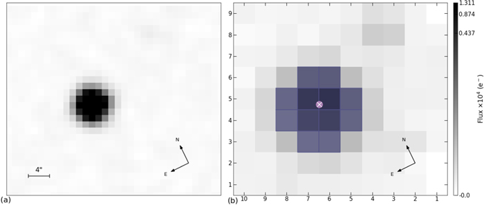 Figure 1. Refer to the following caption and surrounding text.