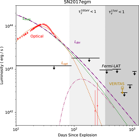 Figure 3. Refer to the following caption and surrounding text.