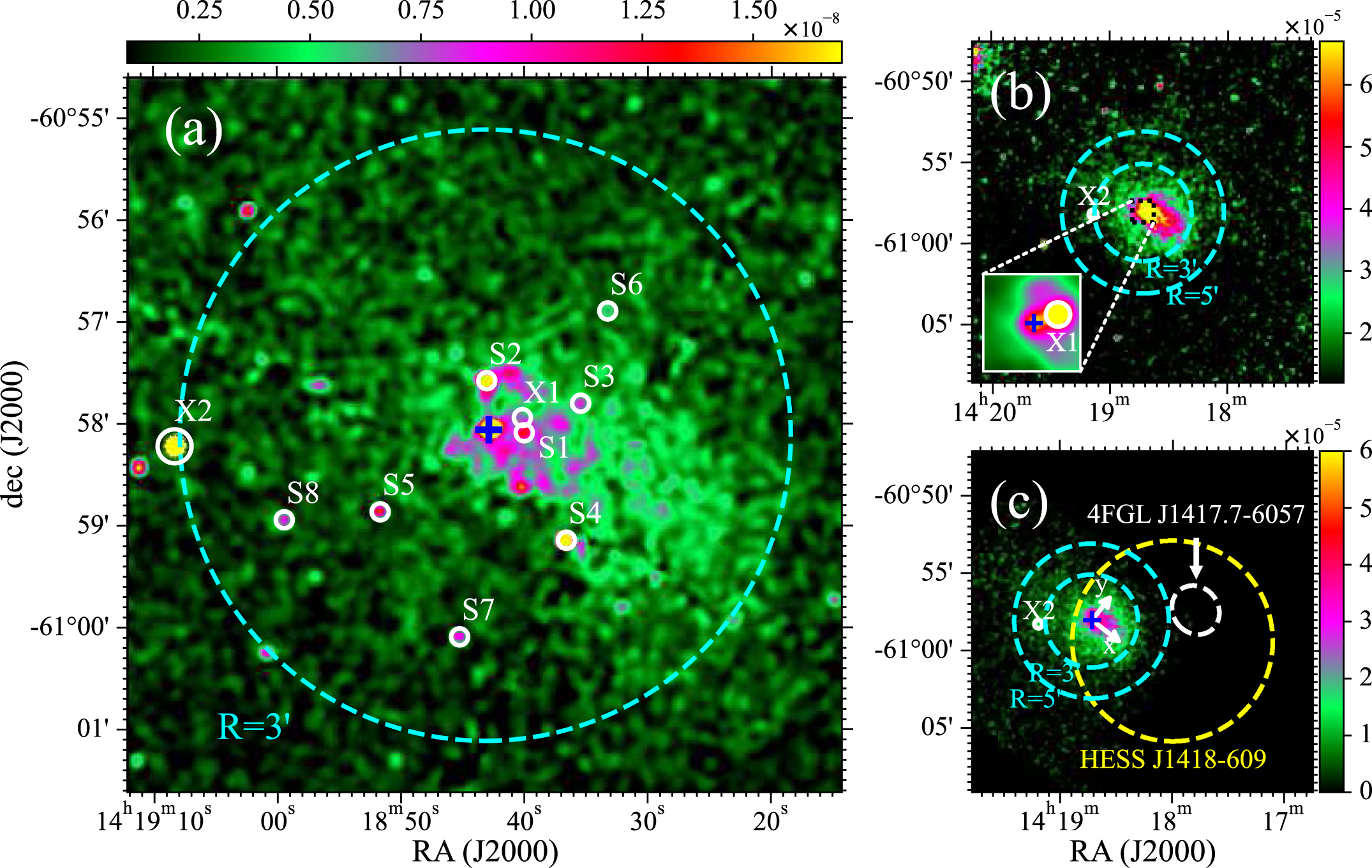 Biology of Northern Hemisphere Pilot・・ Interhemispheric Coupling Study by Observations and