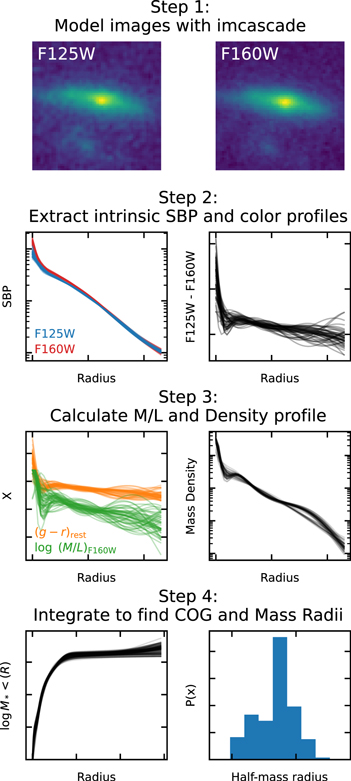 Mass Formation Color Programming Color Gradients and Half-mass Radii of Galaxies Out to z = 2 in the ...