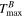 ${T}_{\max }^{B}$