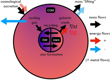 Figure 1. Refer to the following caption and surrounding text.