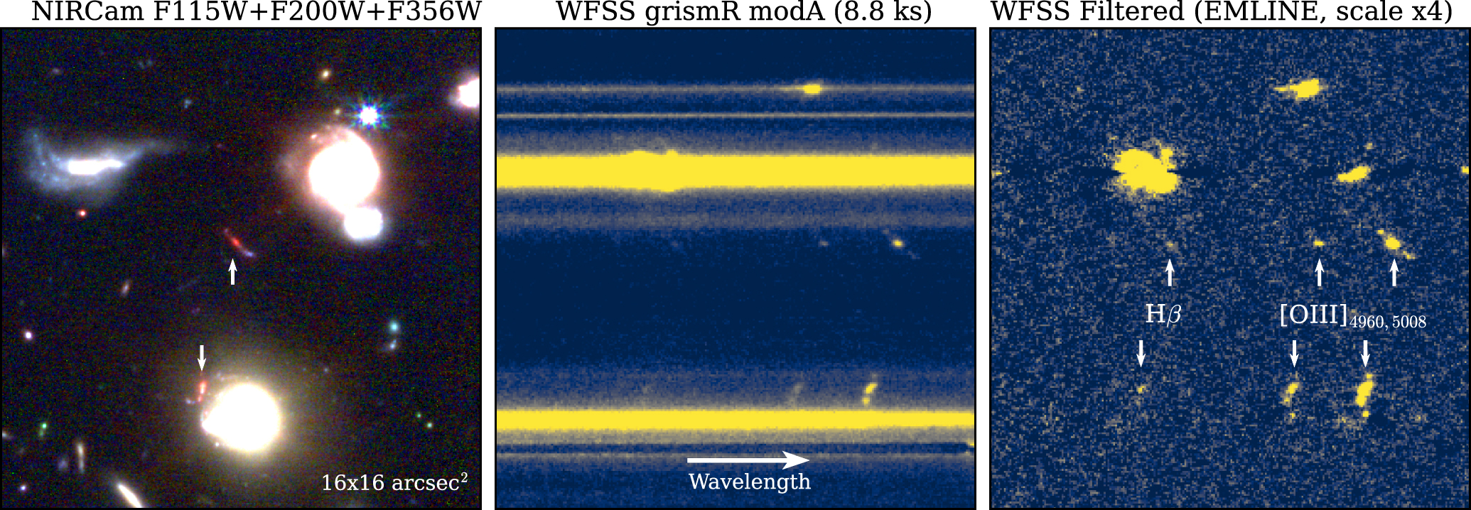 EIGER. II. First Spectroscopic Characterization of the Young Stars and ...
