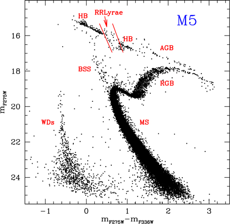 Figure 1. Refer to the following caption and surrounding text.