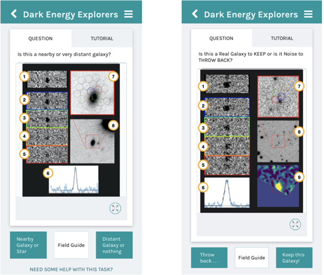 Figure 2. Refer to the following caption and surrounding text.