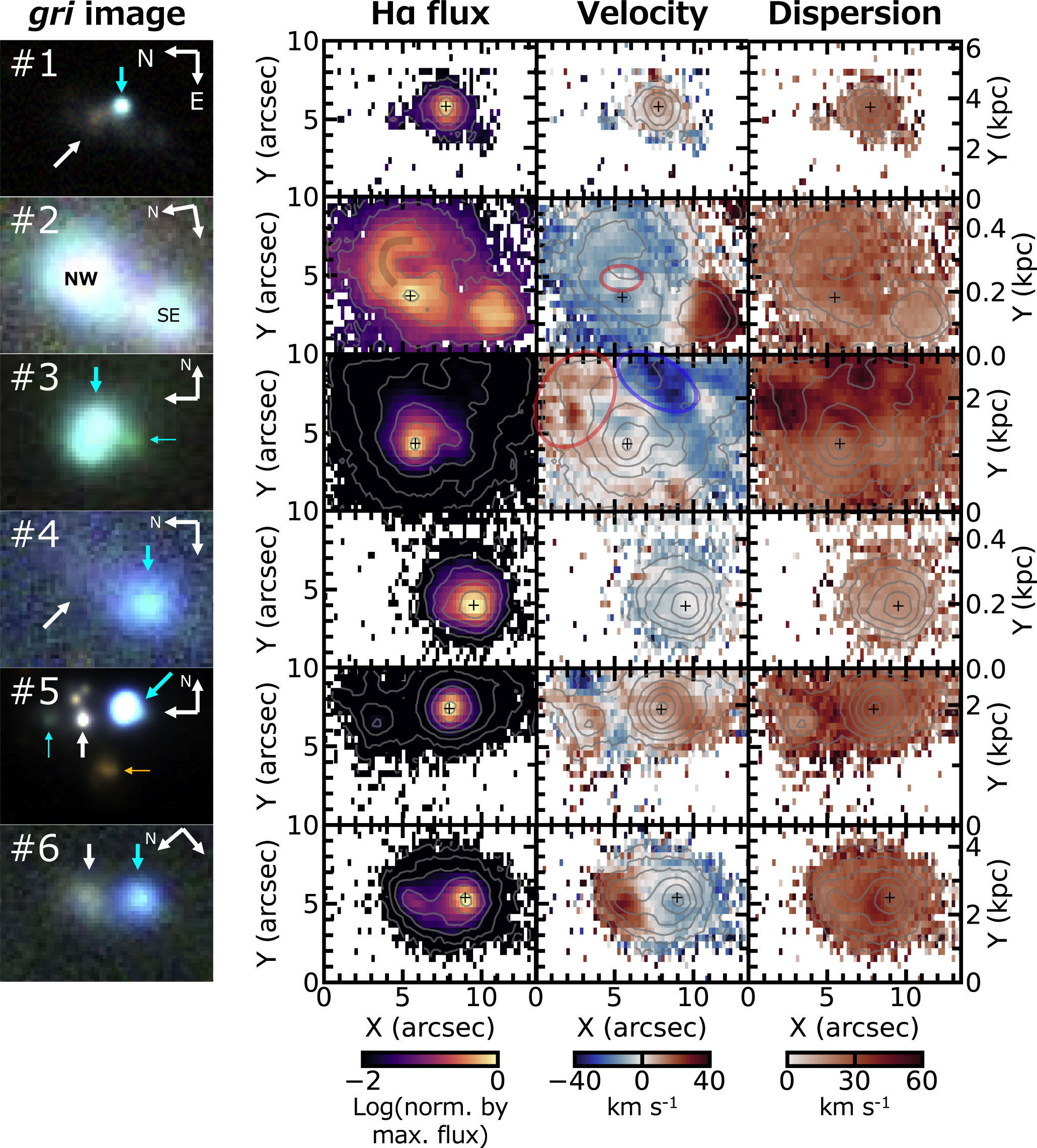 絵画 宇宙、精神、素粒子 ☺️ 僕の世界は広かった。 葉の静けさに耳を澄ませ、 光の粒に