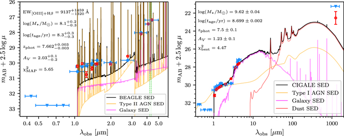 Figure 5. Refer to the following caption and surrounding text.