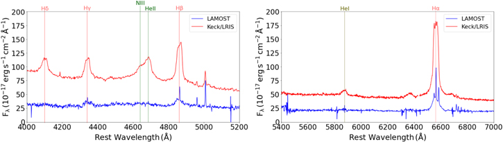 Figure 4. Refer to the following caption and surrounding text.