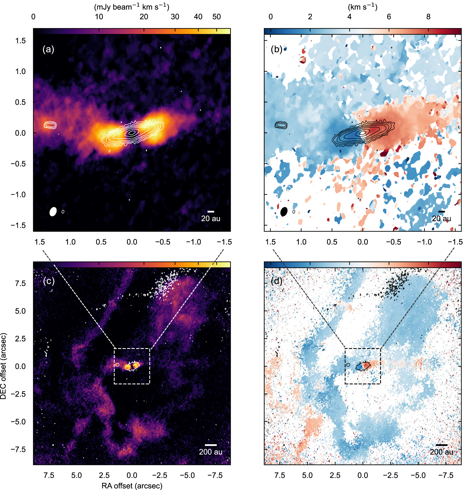 Early Planet Formation in Embedded Disks (eDisk). V. Possible