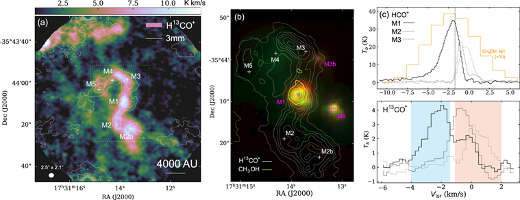 Figure 1. Refer to the following caption and surrounding text.