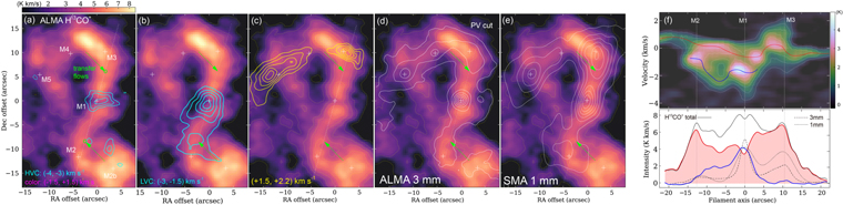 Figure 2. Refer to the following caption and surrounding text.
