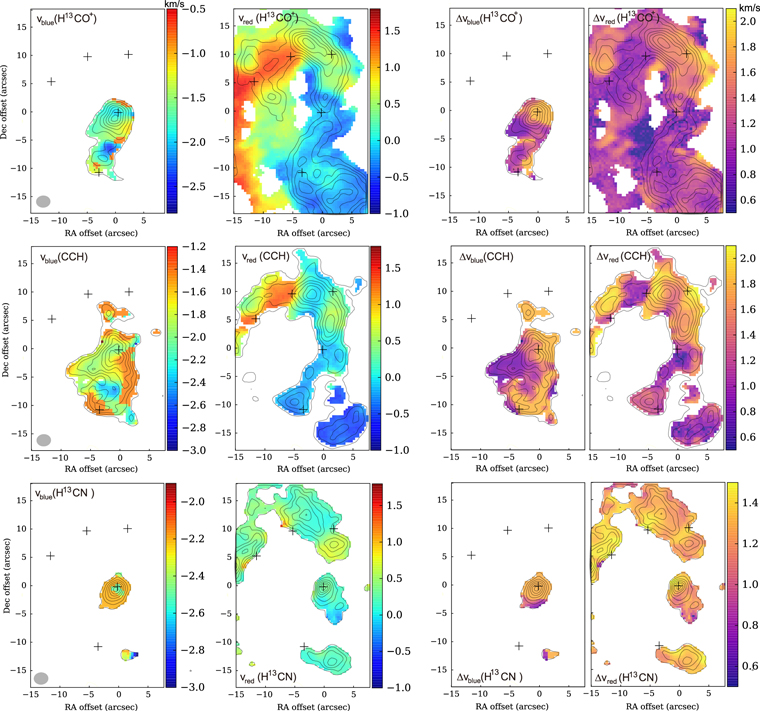 Figure 4. Refer to the following caption and surrounding text.