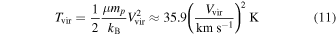 Equation (11)