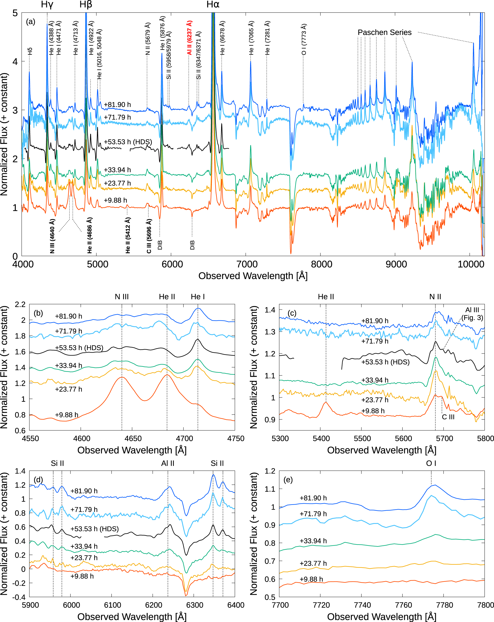 ⭐️ページ2 楽天市場】ペプシ PEPSI PS-027W レディース靴 靴 シューズ 2E