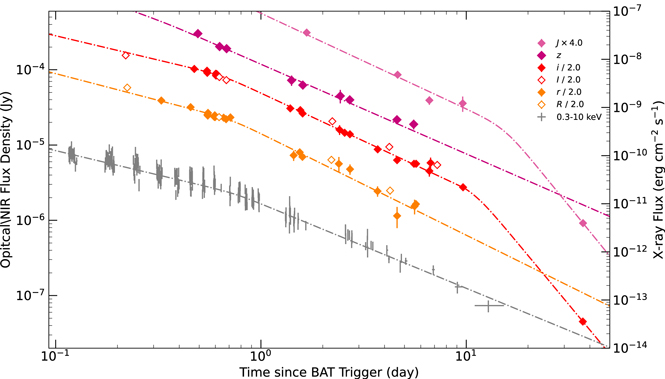 Optical and Near-infrared Observations of the Distant but