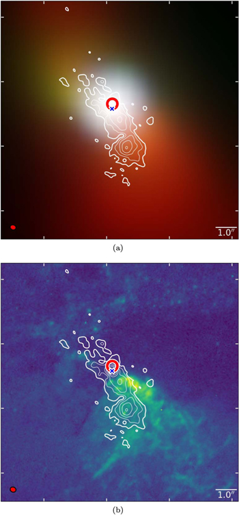 VLA FRAMEx. I. Wideband Radio Properties of the AGN in NGC