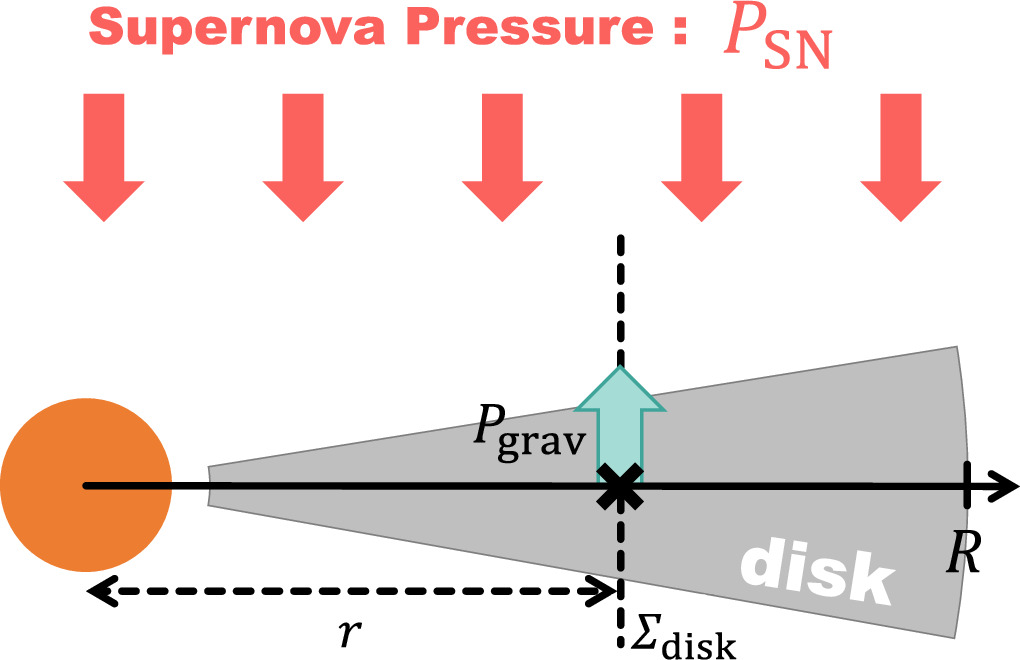 Figure 2. Refer to the following caption and surrounding text.
