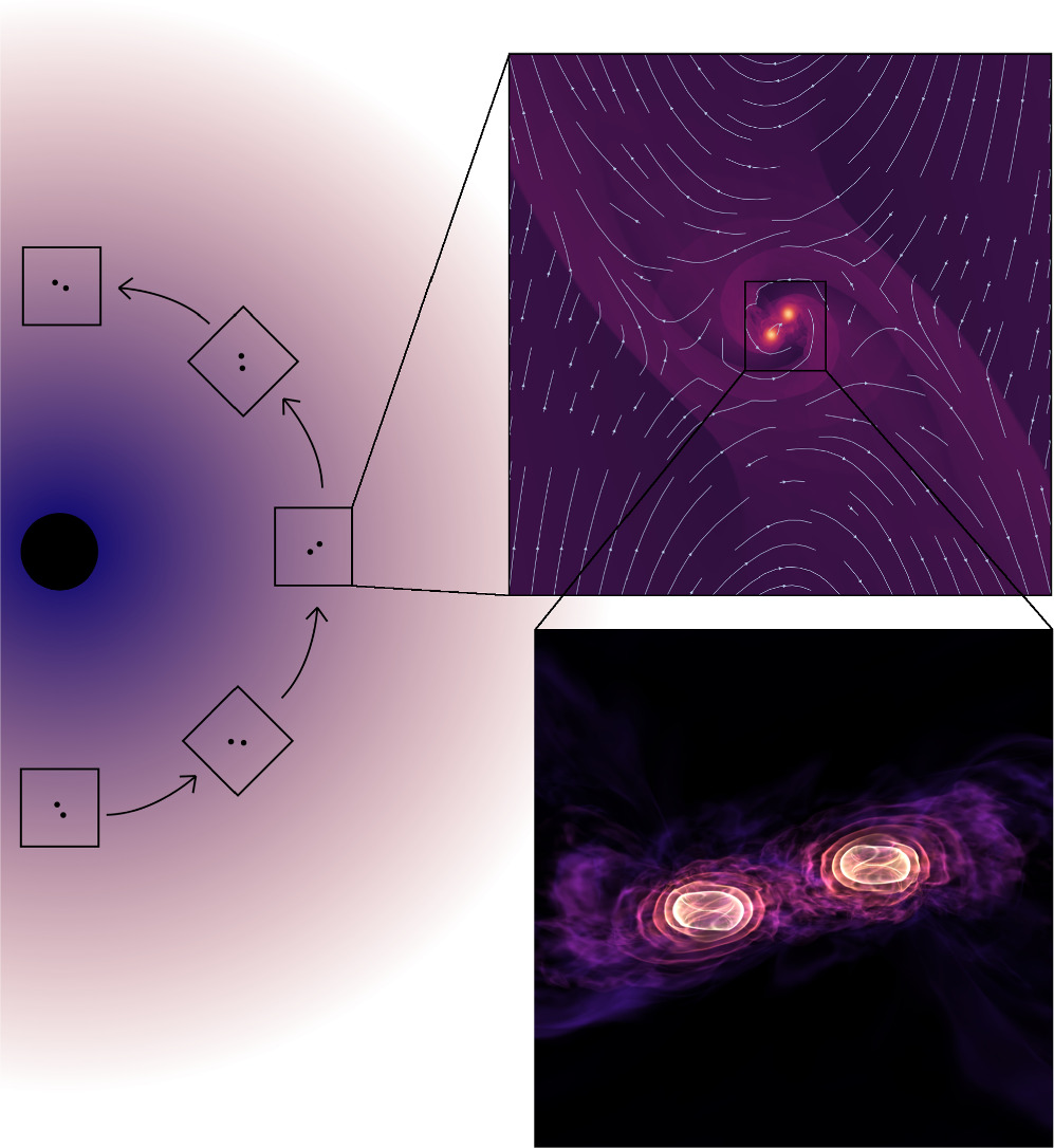 The Evolution of Inclined Binary Black Holes in the Disks of Active ...