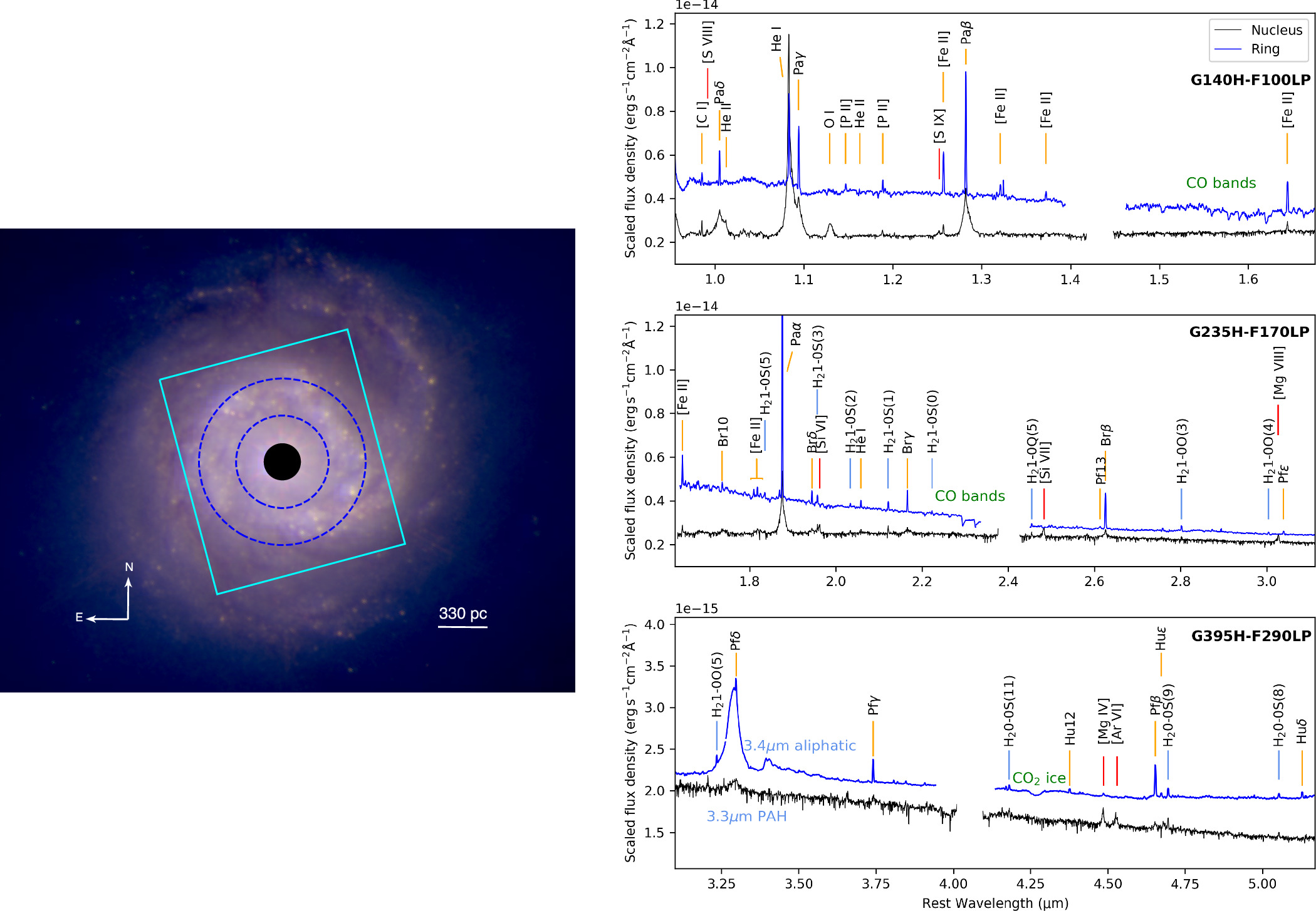 GOALSJWST Gas Dynamics and Excitation in NGC 7469 Revealed by NIRSpec