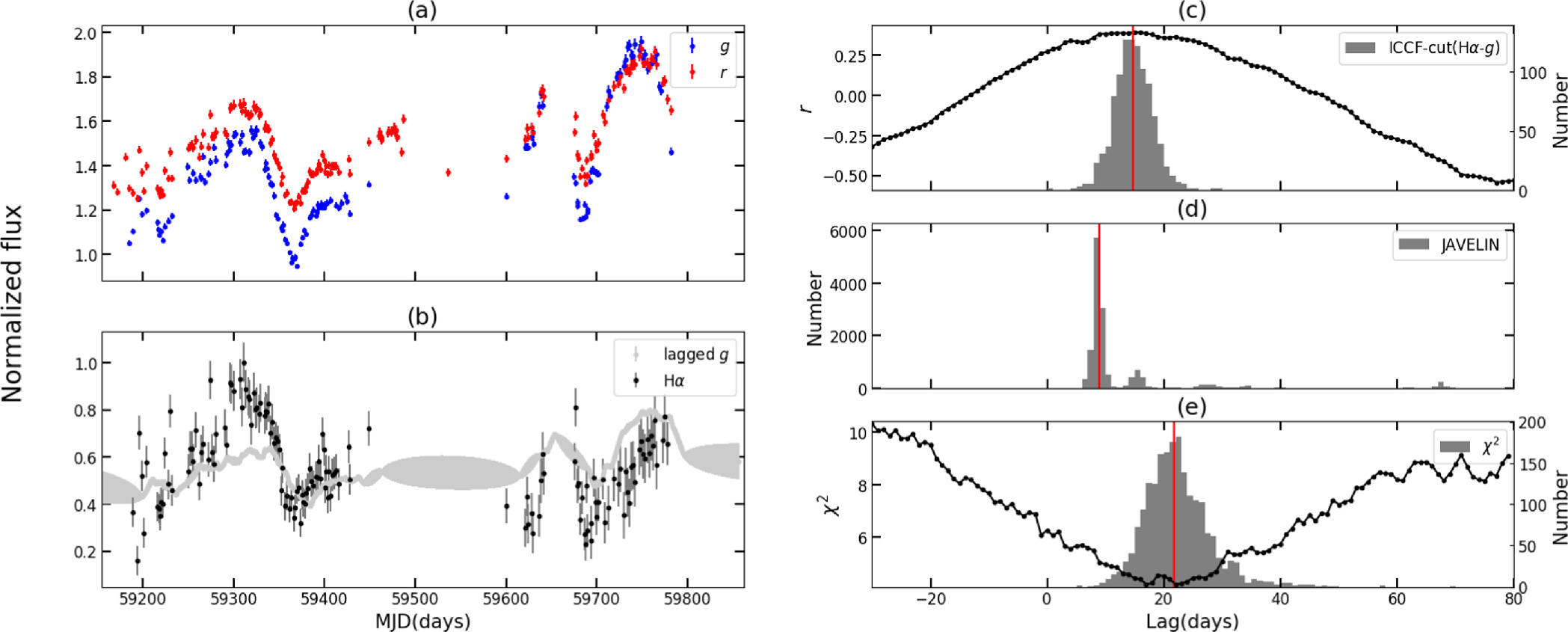 Hα Time Delays of Active Galactic Nuclei from the Zwicky Transient