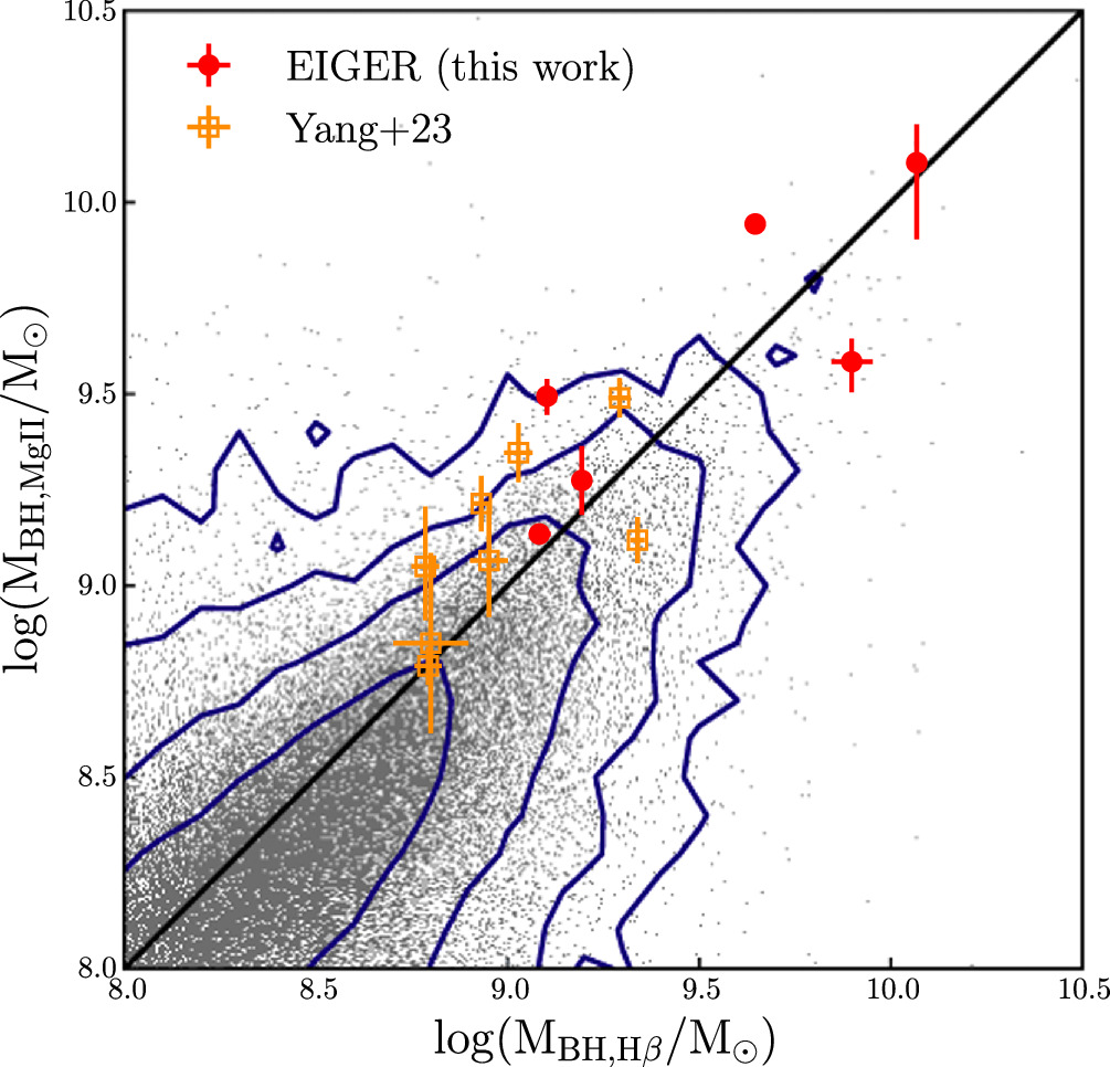 EIGER. V. Characterizing the Host Galaxies of Luminous Quasars at