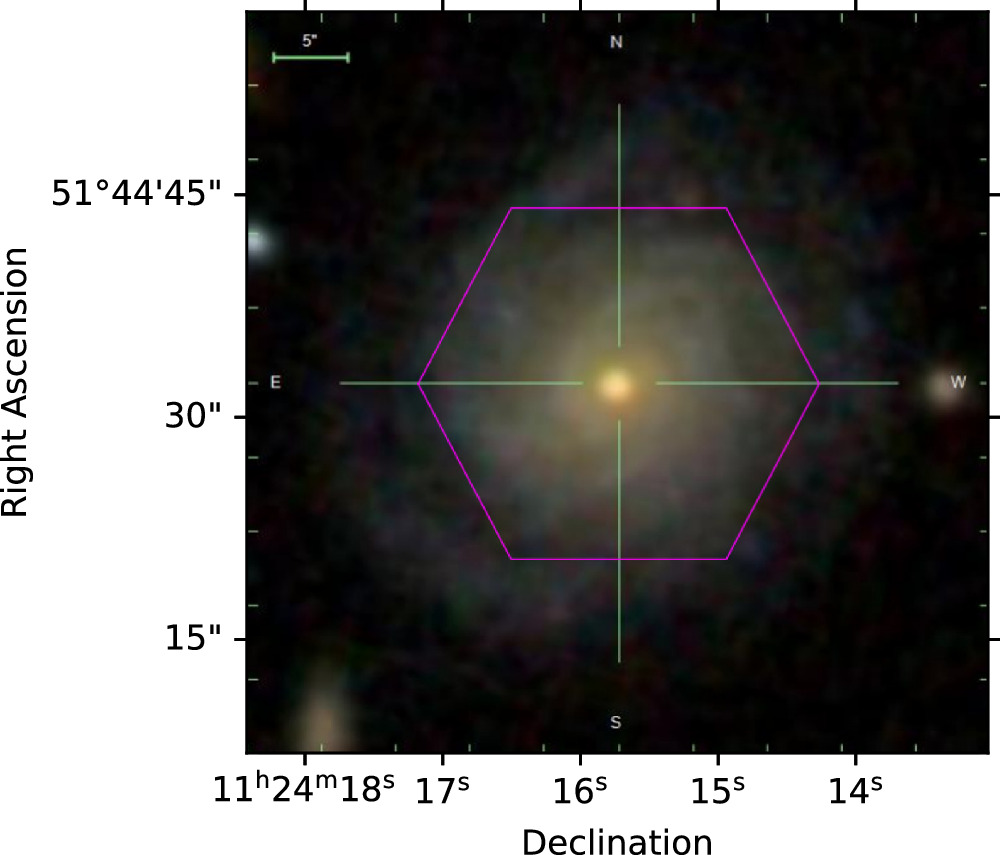 Figure 2. Refer to the following caption and surrounding text.