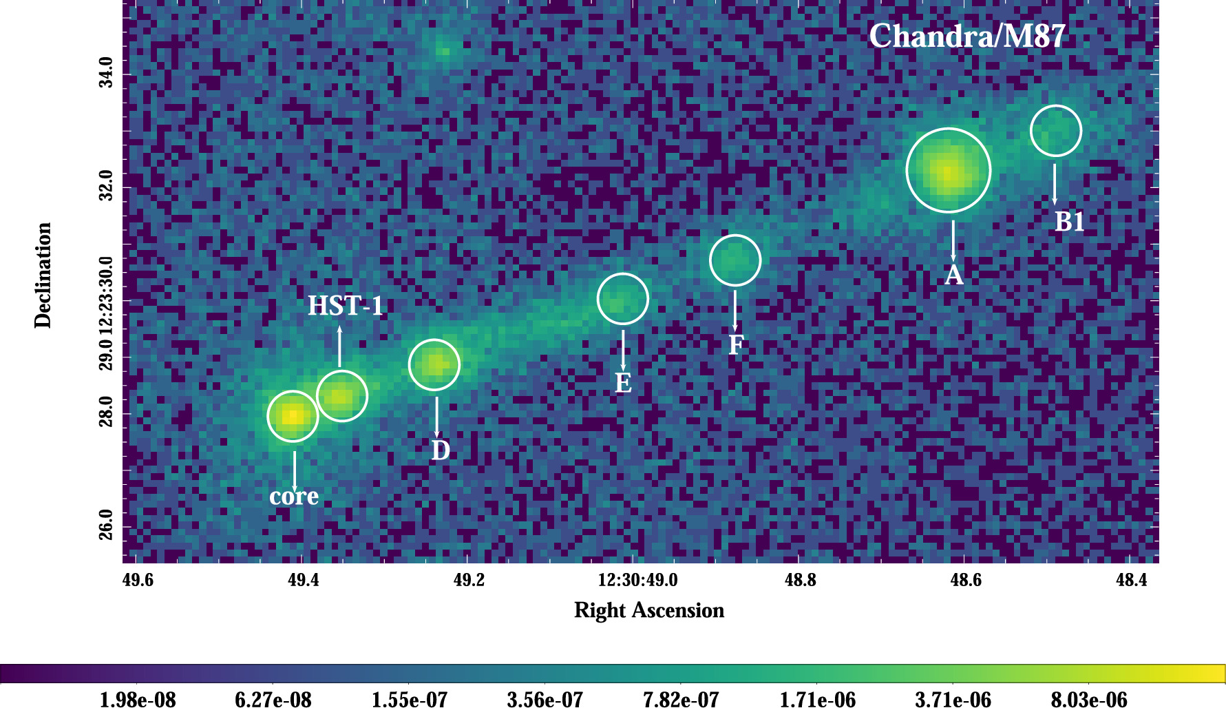 Figure 1. Refer to the following caption and surrounding text.