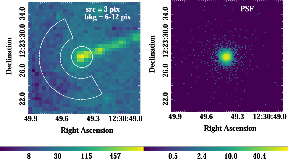 Figure 2. Refer to the following caption and surrounding text.