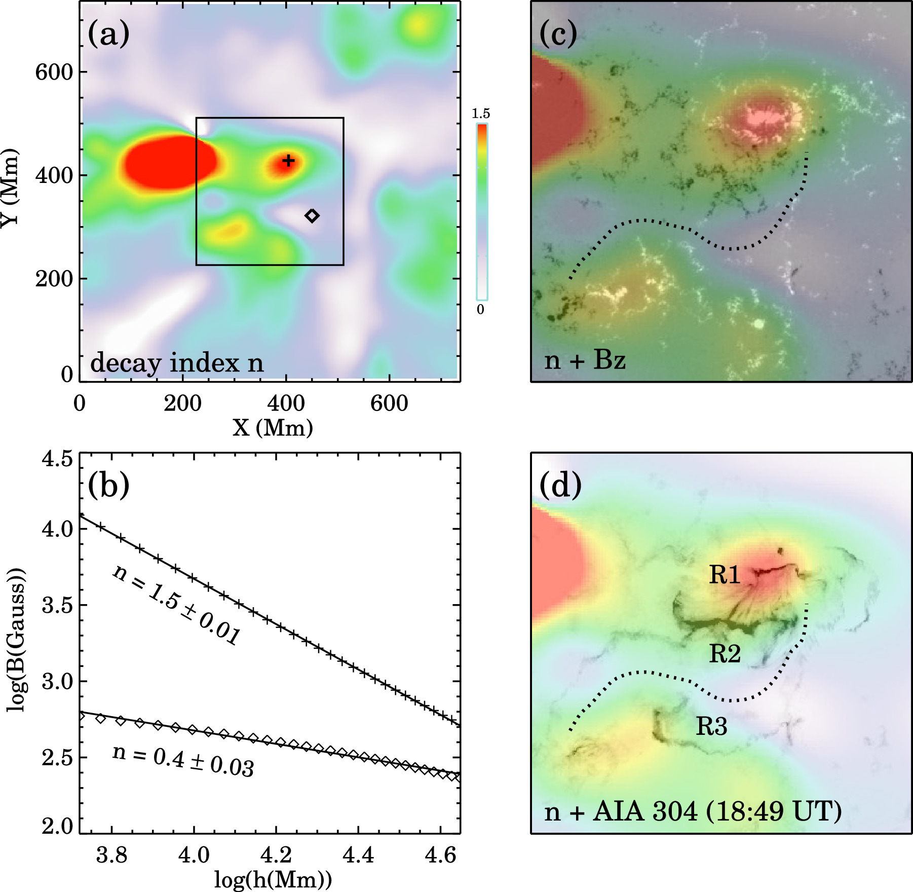 最終CAPRINO Ribbon Flare 最終CAPRINO Ribbon Flare 最終CAPRINO Ribbon Flare Ribbon