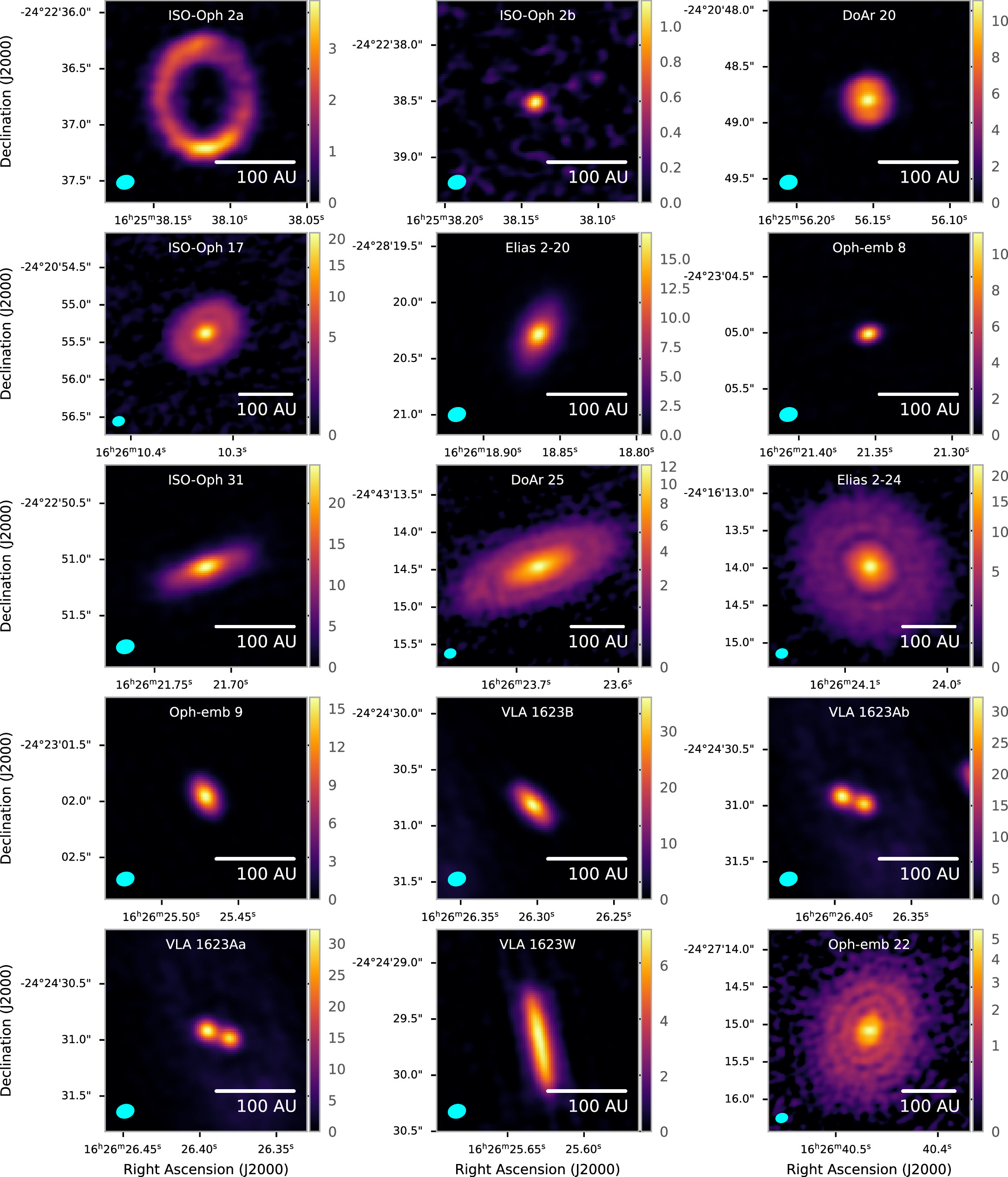 FUSION CD メゾフォルテ/OBSERVATIONS Midfrontal Theta Activity Is Sensitive to Approach–Avoidance