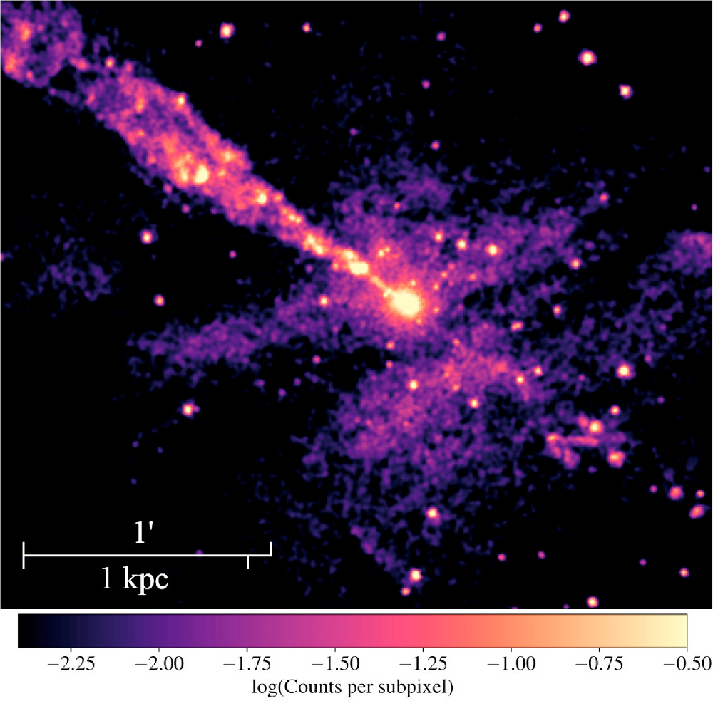 Figure 7. Refer to the following caption and surrounding text.