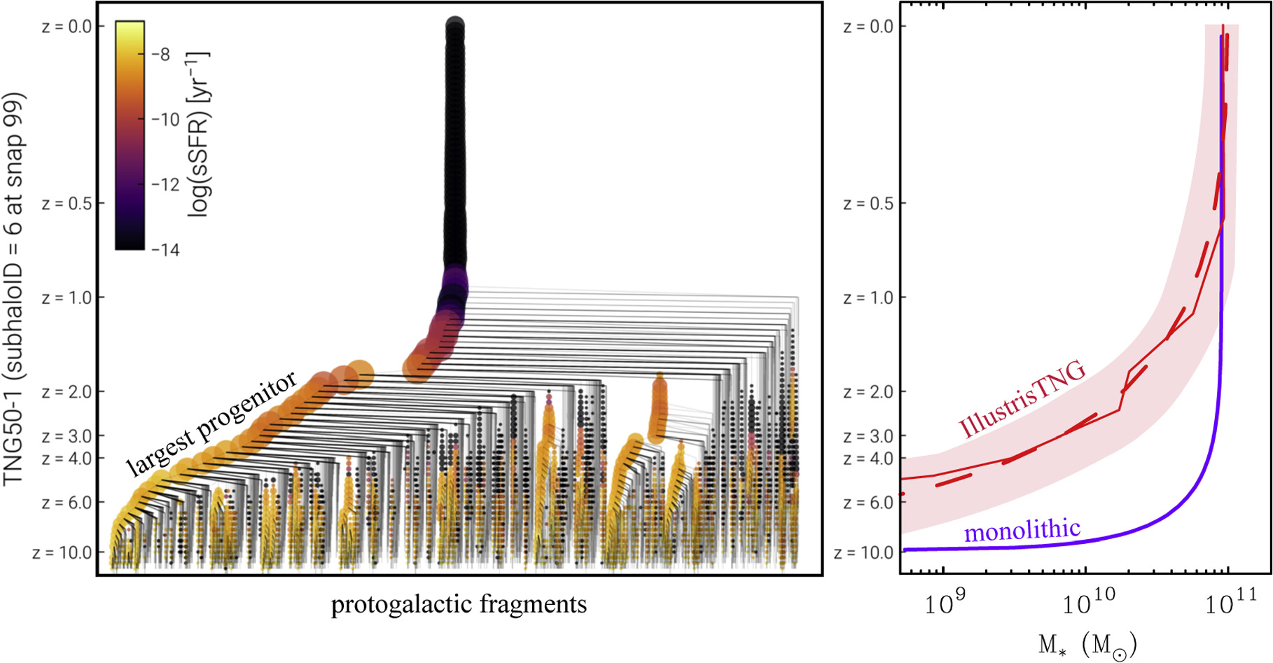 Figure 1. Refer to the following caption and surrounding text.