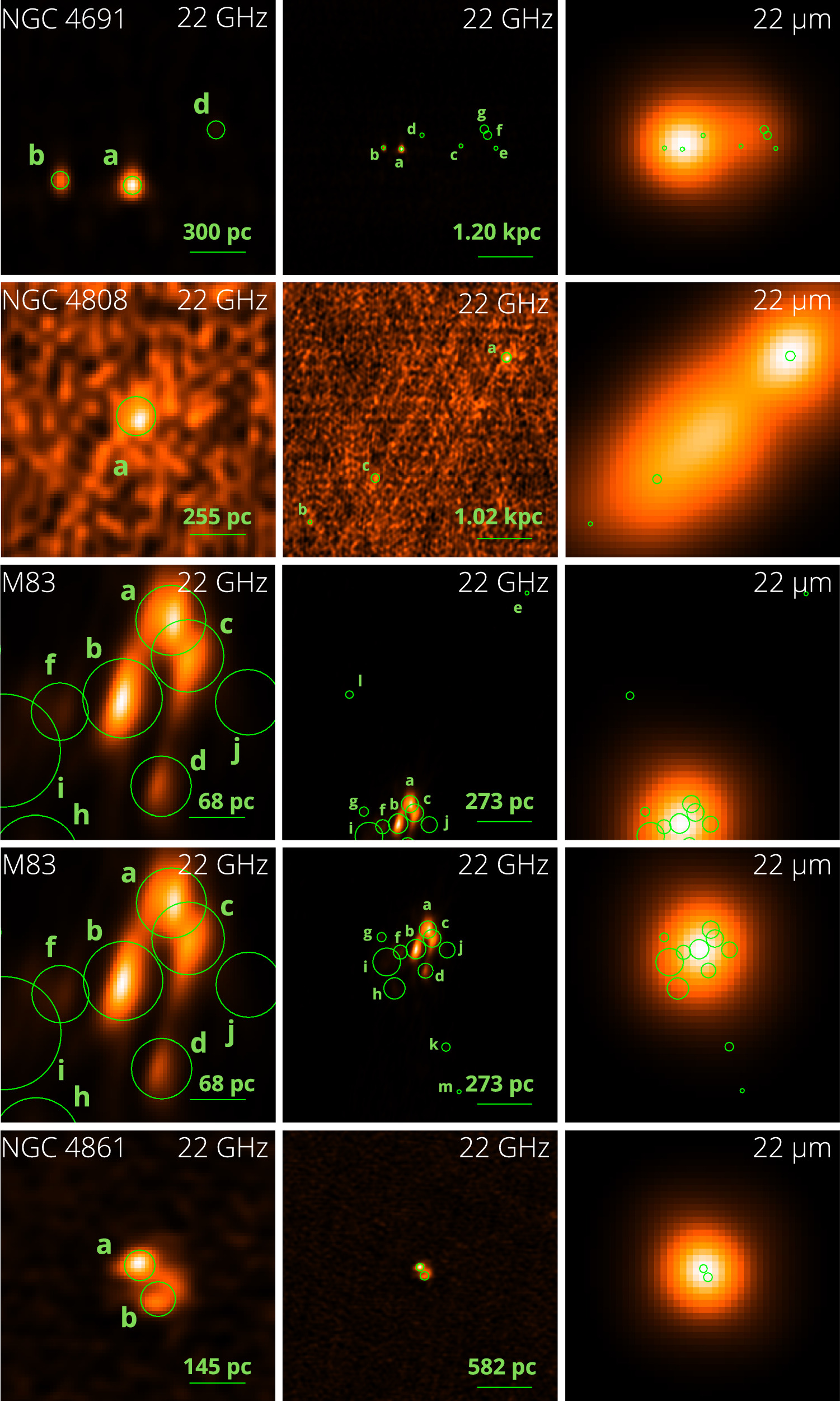 VLA 22 GHz Imaging of Massive Star Formation in Local Wolf–Rayet