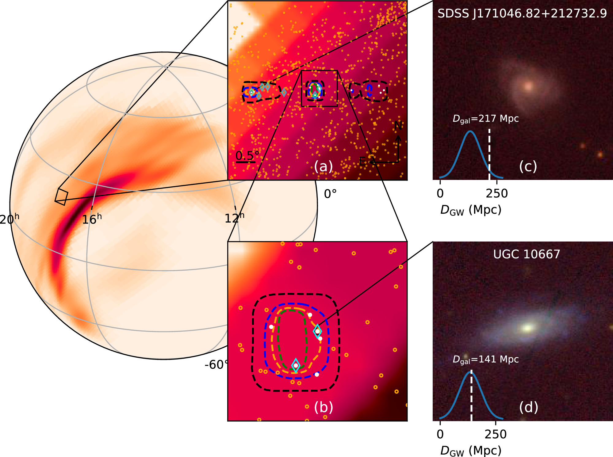 Figure 1. Refer to the following caption and surrounding text.