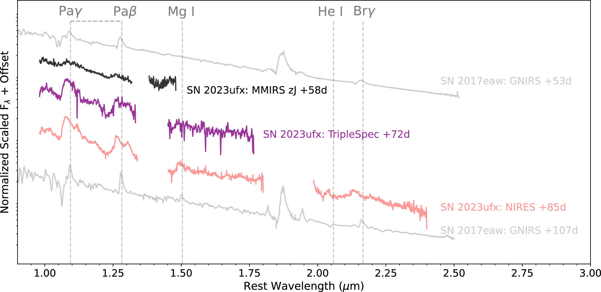 Figure 12. Refer to the following caption and surrounding text.