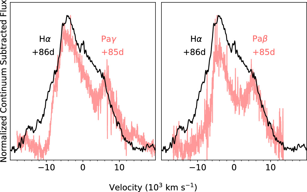 Figure 13. Refer to the following caption and surrounding text.