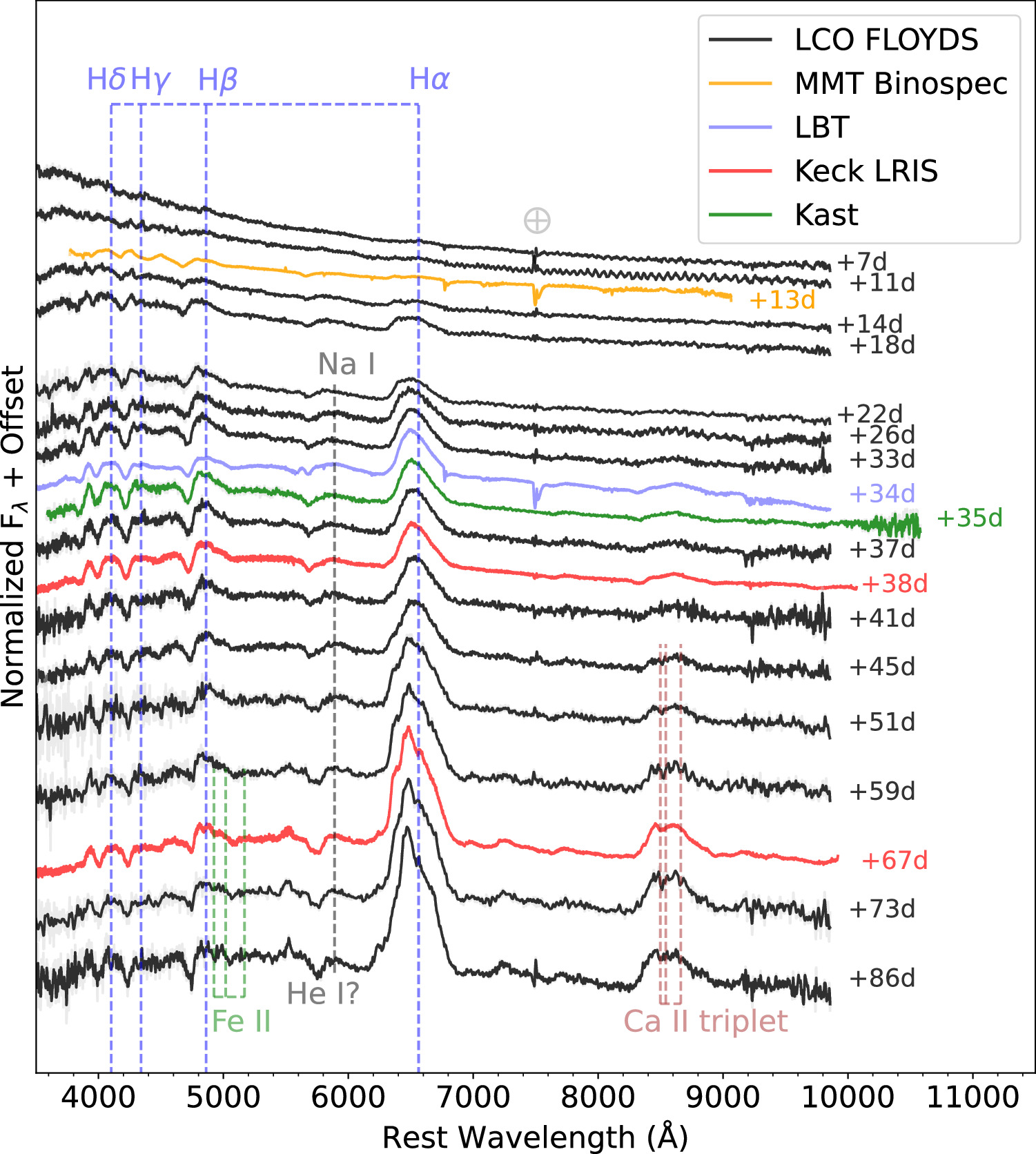 Figure 7. Refer to the following caption and surrounding text.