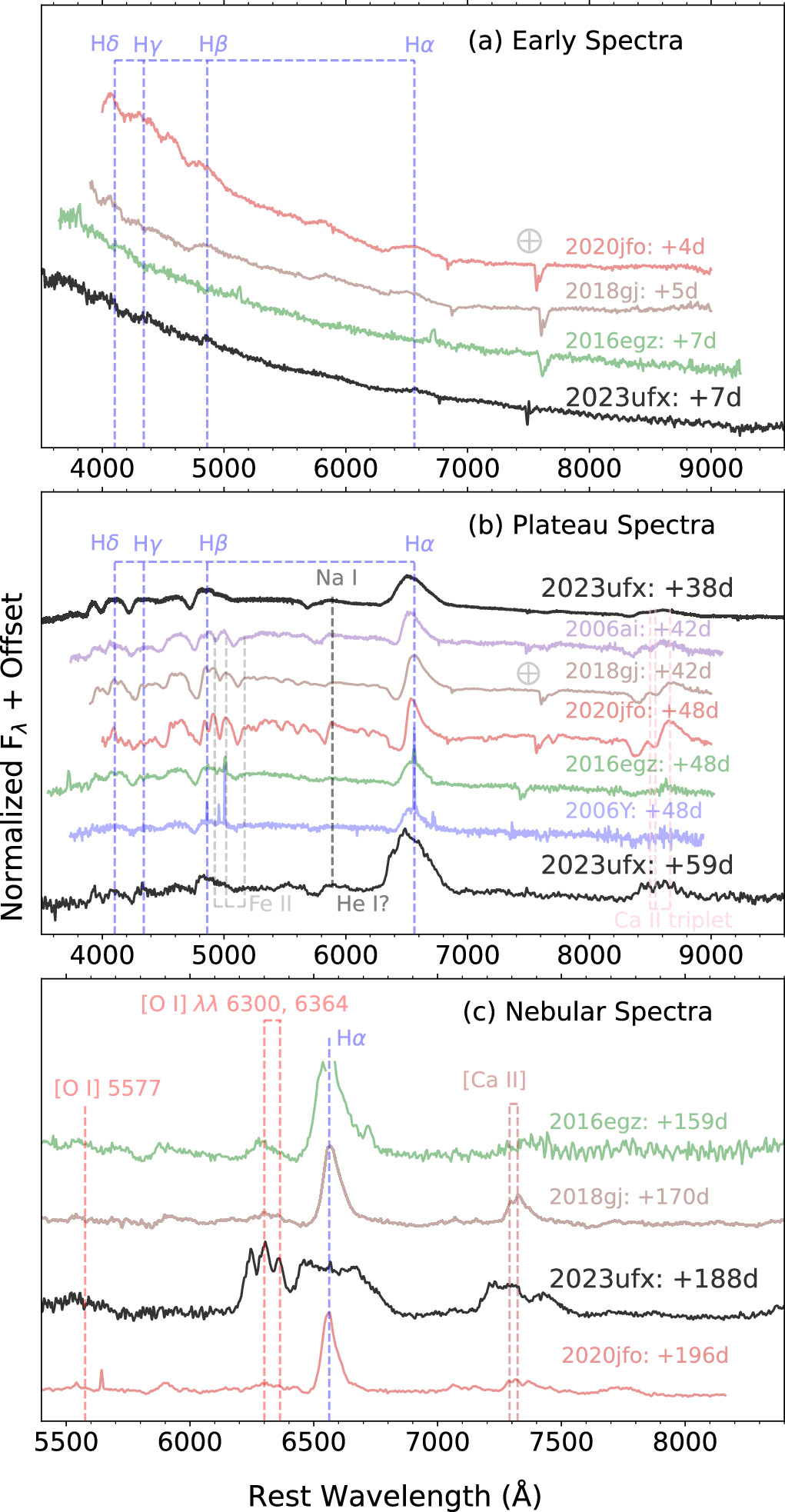 Figure 9. Refer to the following caption and surrounding text.