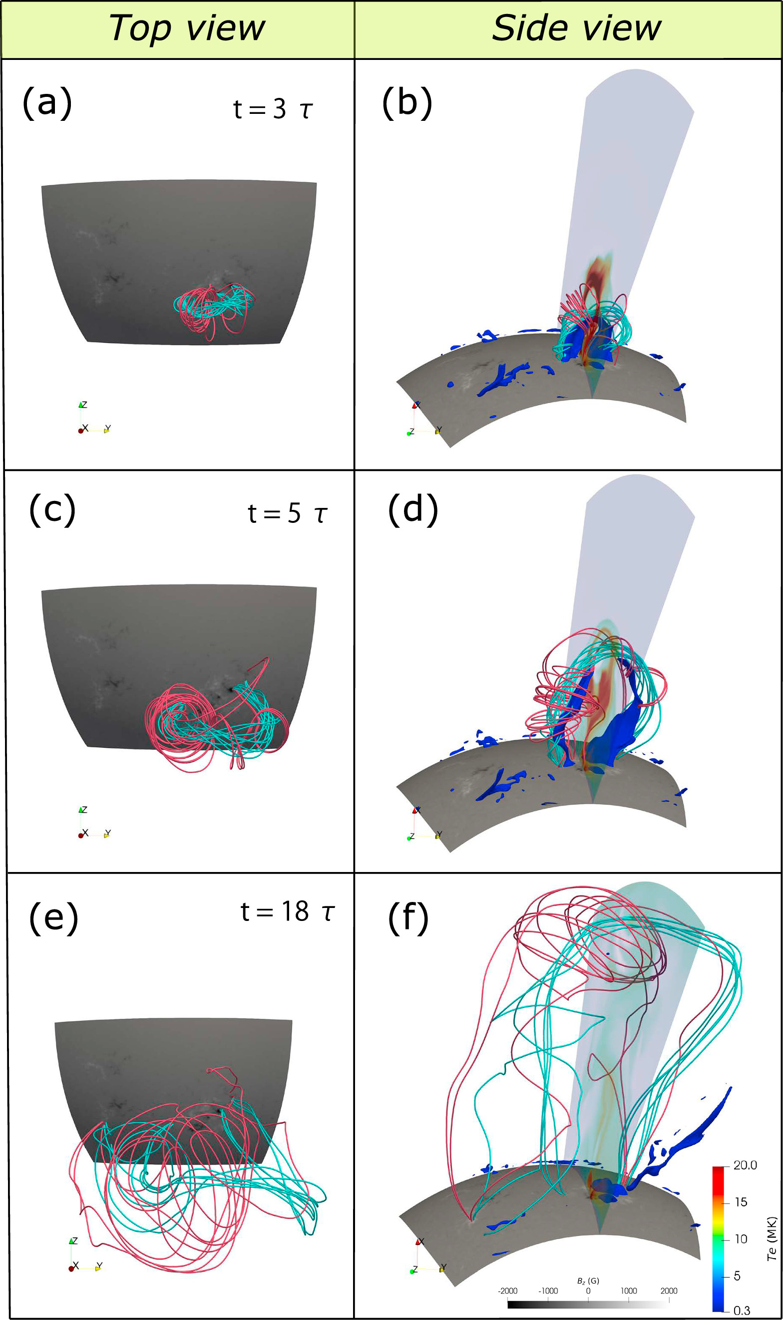 The Birth of a Major Coronal Mass Ejection with Intricate Magnetic ...