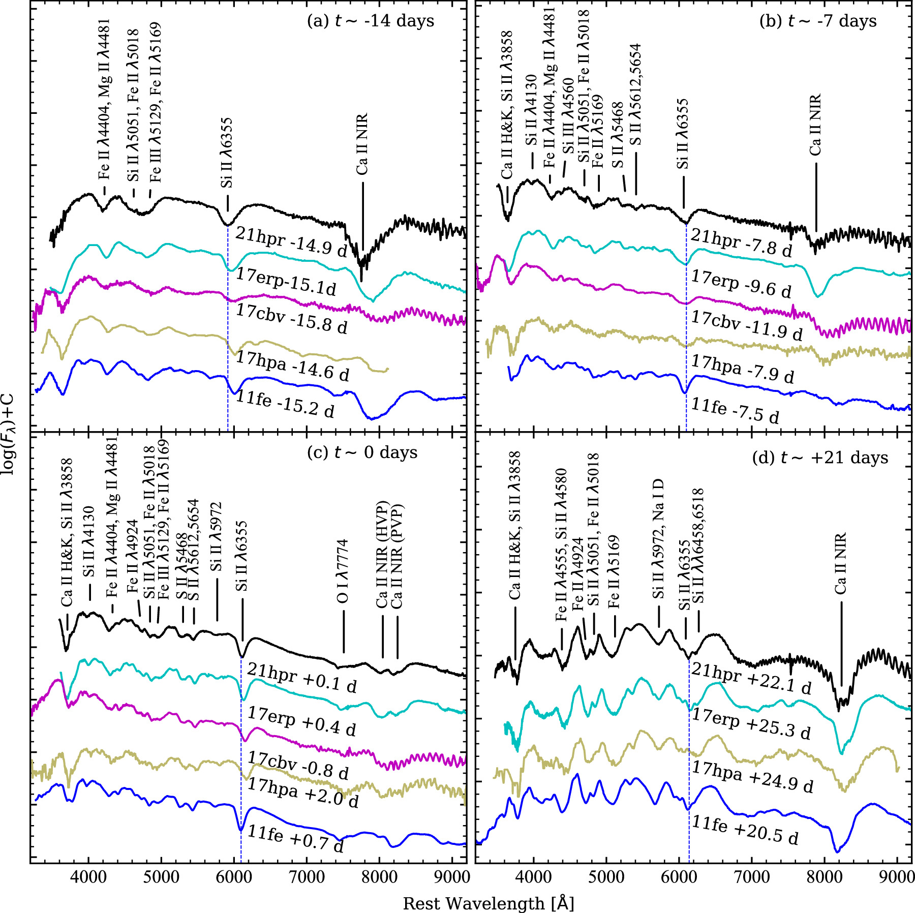 Figure 7. Refer to the following caption and surrounding text.
