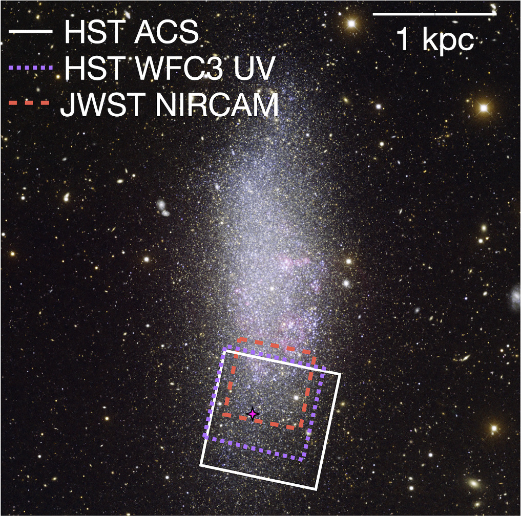 A Low Metallicity Massive Contact Binary Star System Candidate in WLM ...