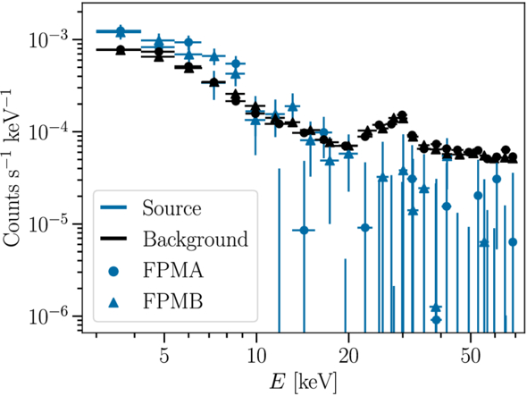 Figure 3. Refer to the following caption and surrounding text.