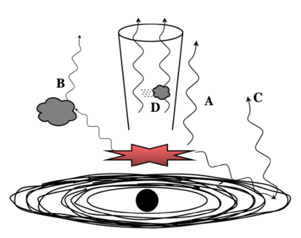 Figure 9. Refer to the following caption and surrounding text.