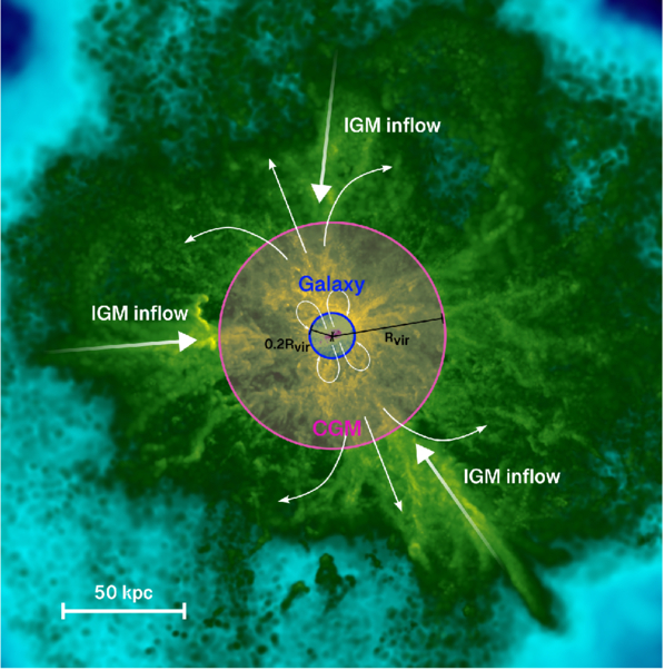Figure 2. Refer to the following caption and surrounding text.