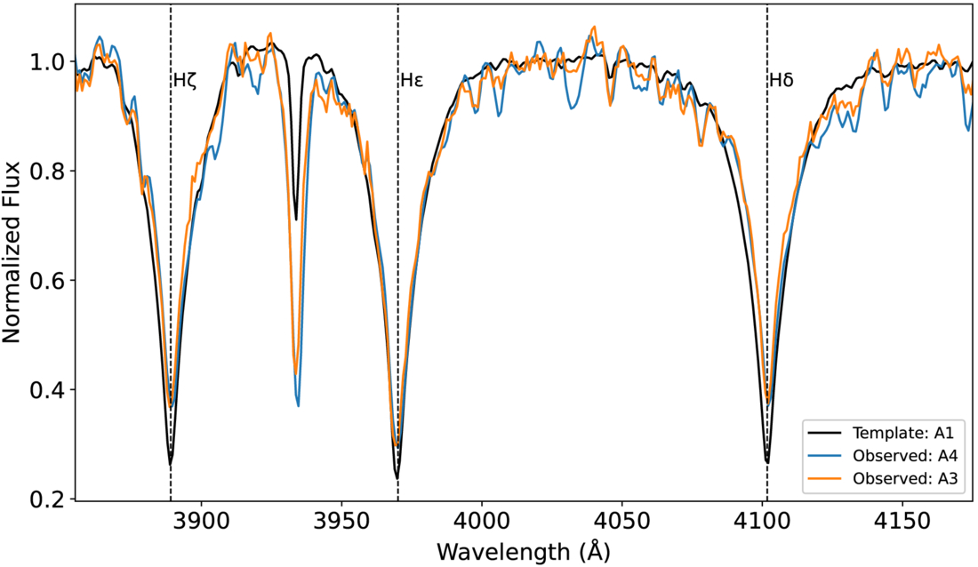 Figure 6. Refer to the following caption and surrounding text.